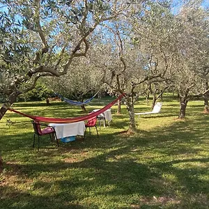  Apartman Gabriela